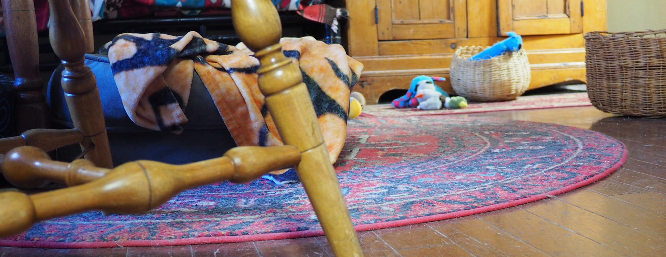 A dog's eye view of the floor. There are obstacles to navigate to reach the dog toys across an oval rug.